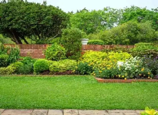 landscaping services Nevis